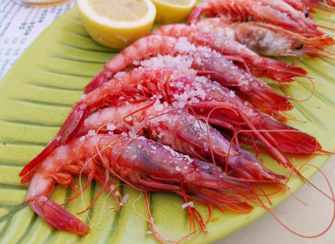 S&H La Malcriada San Juan de los Terreros Eksteriør bilde